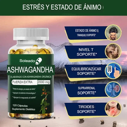 La Ashwagandha es una hierba adaptógena con propiedades antiinflamatorias, antioxidantes .